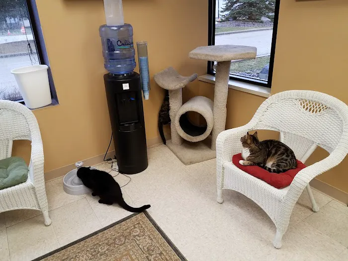 Cream City Kitty Clinic 9