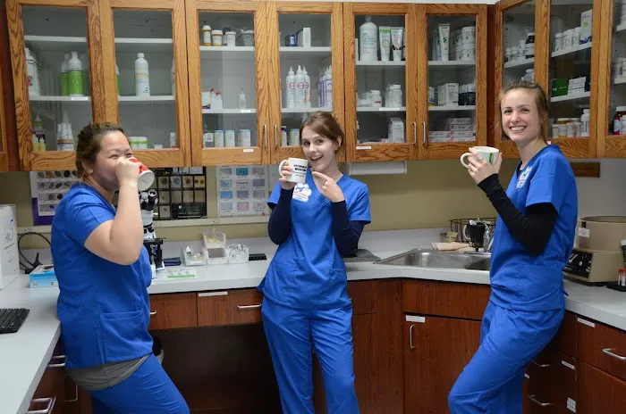 Westown Veterinary Clinic 7