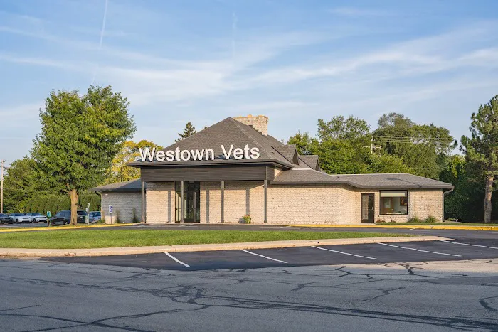Westown Veterinary Clinic 9