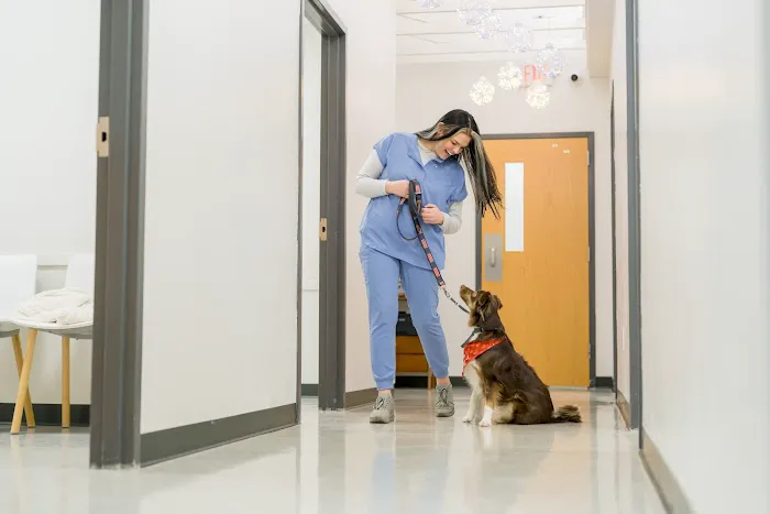 Westown Veterinary Clinic 3