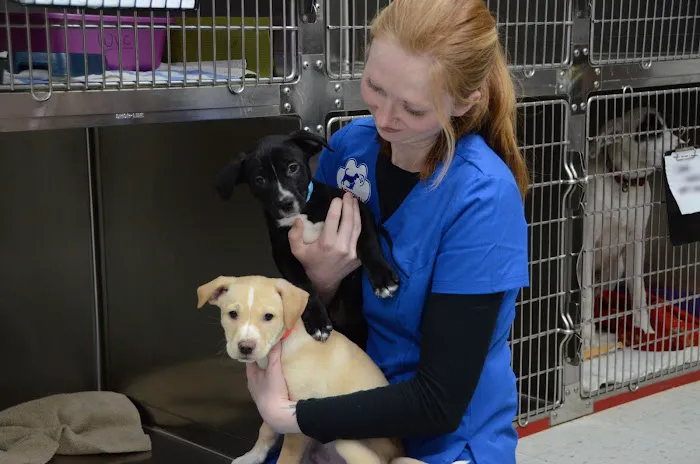Westown Veterinary Clinic 8