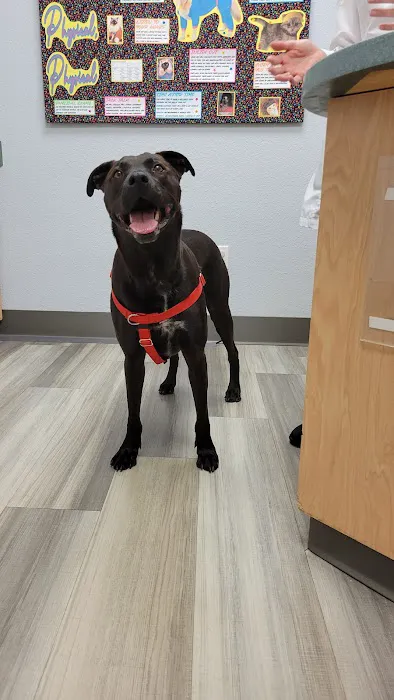 Waukesha Animal Hospital 3