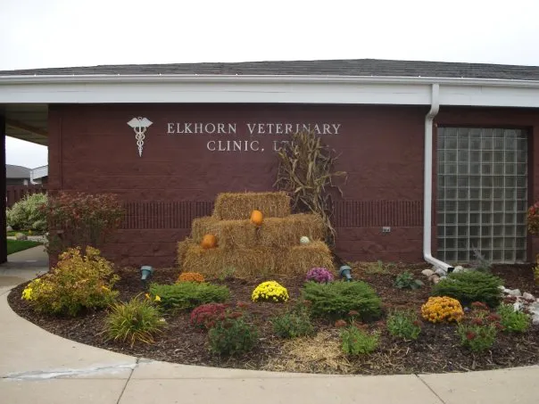 Elkhorn Veterinary Clinic 1