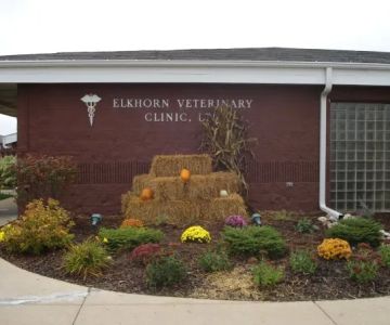Elkhorn Veterinary Clinic