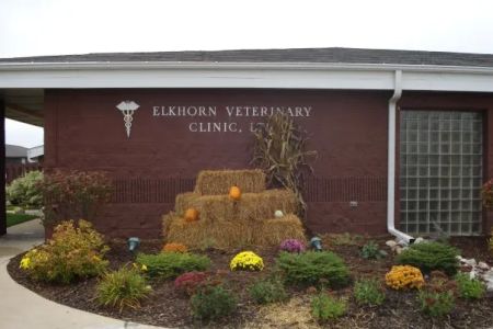 Elkhorn Veterinary Clinic