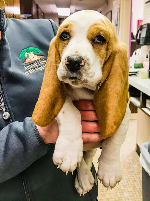 Woodland Veterinary Center 6