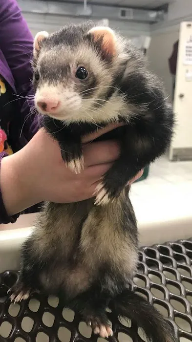 Woodland Veterinary Center 1
