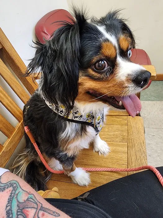 North Judson San Pierre Veterinary 12