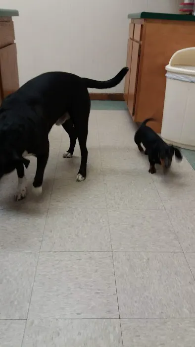 North Judson San Pierre Veterinary 12