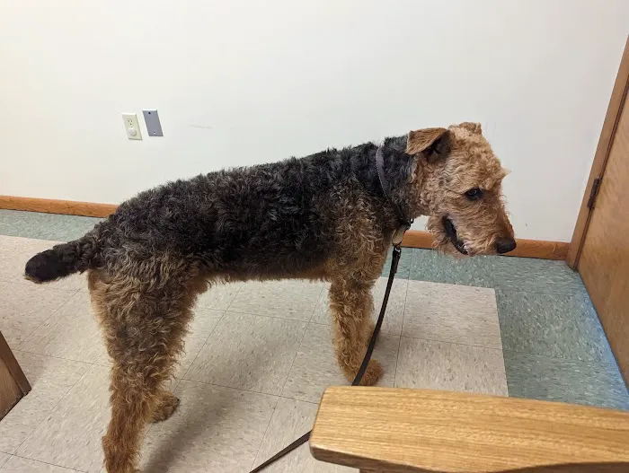 North Judson San Pierre Veterinary 12