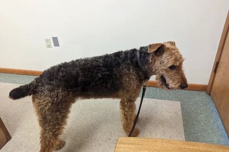 North Judson San Pierre Veterinary