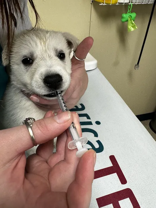 Davis Veterinary Service, PC 5