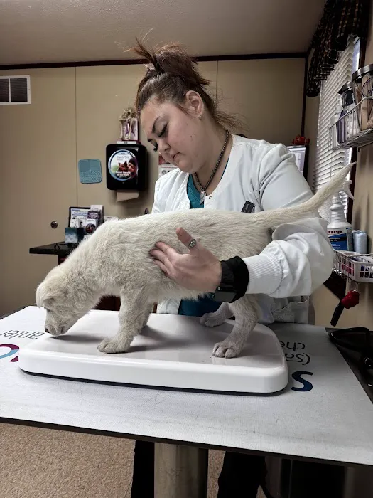 Davis Veterinary Service, PC 1