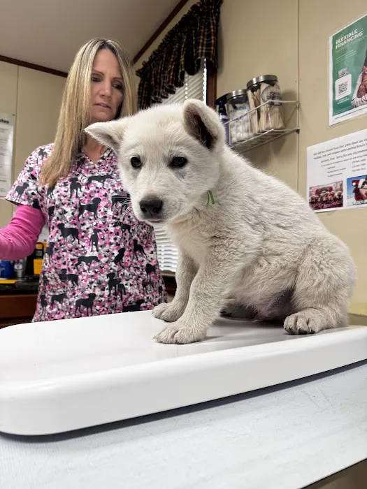 Davis Veterinary Service, PC 3