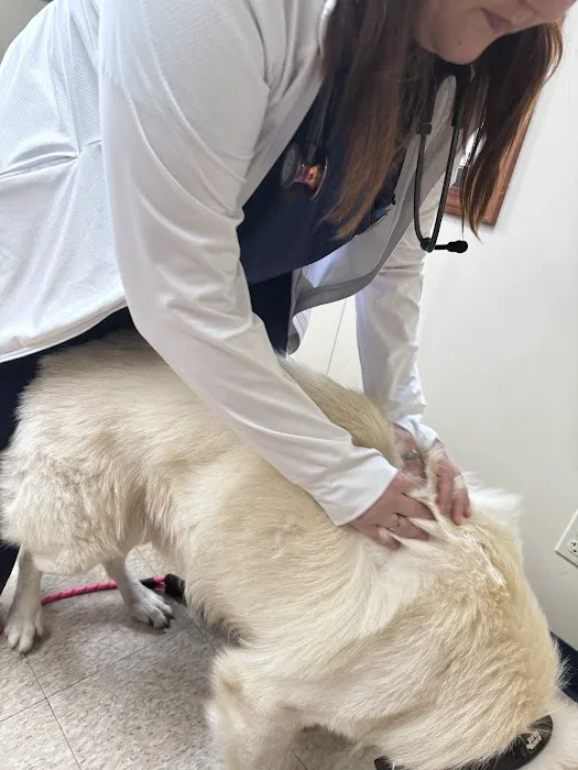 Davis Veterinary Service, PC 8