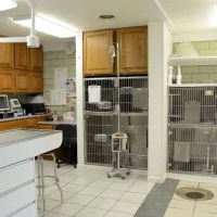 Twelve Mile Veterinary Clinic ico