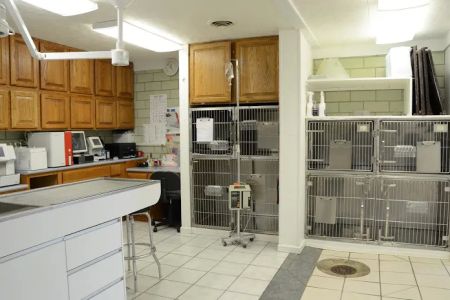 Twelve Mile Veterinary Clinic
