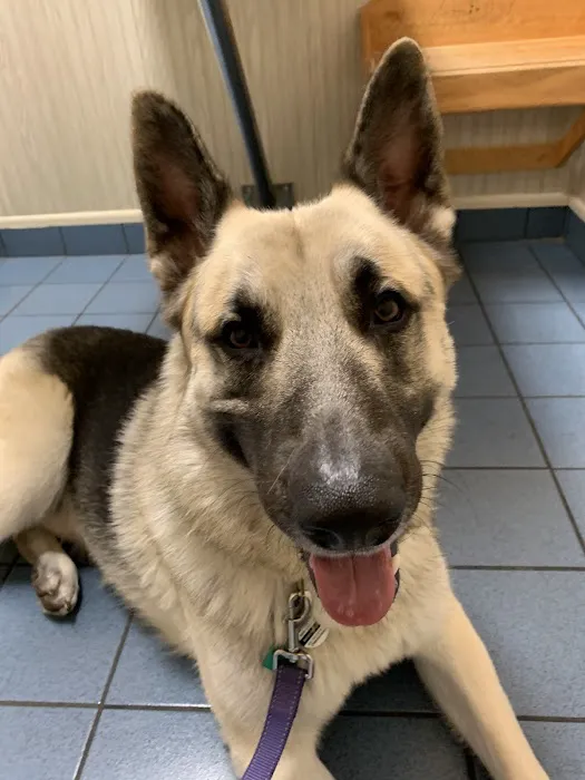 Sommers Veterinary Hospital 7
