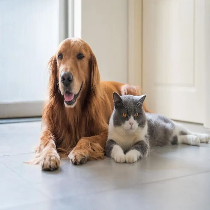 Silver Lake Small Animal Veterinary Clinic 7