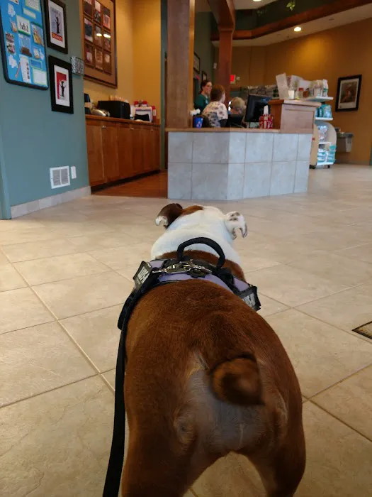 Huntley Veterinary Hospital 12