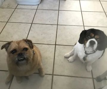 Huntley Veterinary Hospital