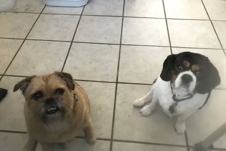 Huntley Veterinary Hospital