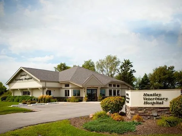 Huntley Veterinary Hospital 12