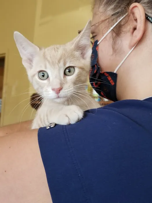 South Town Animal Hospital 7