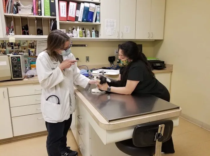 South Town Animal Hospital 3
