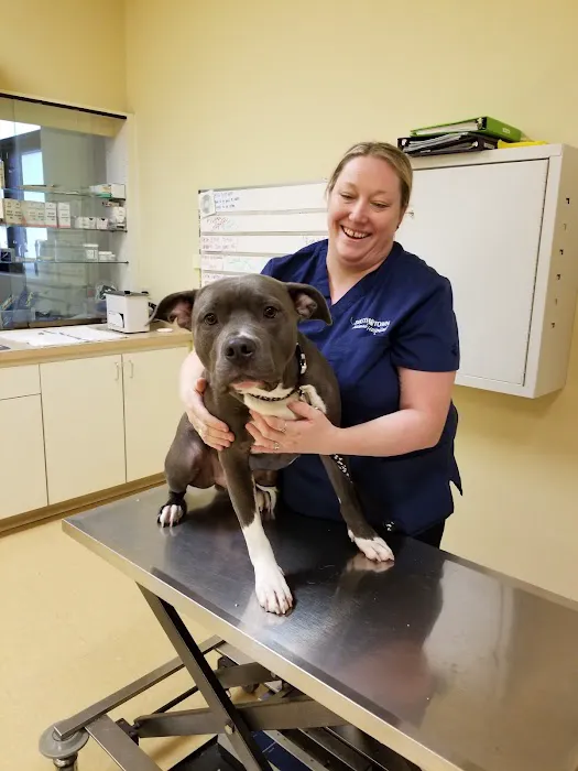 South Town Animal Hospital 8