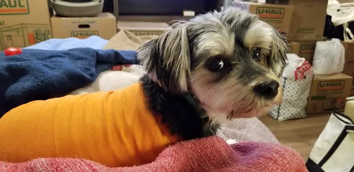 Banfield Pet Hospital 5