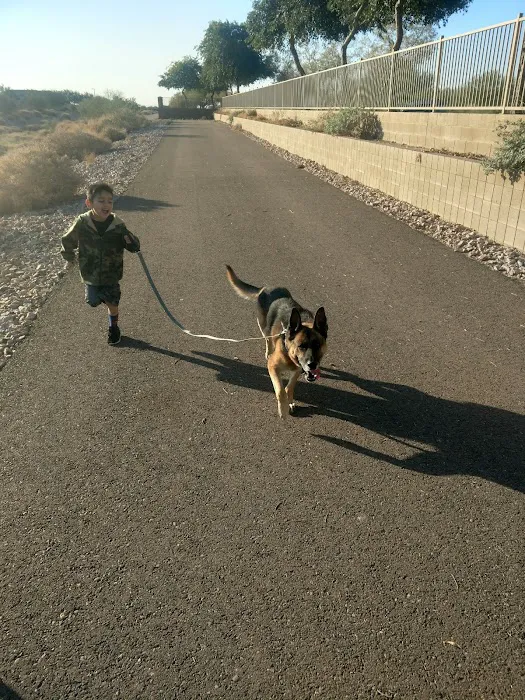 Lovet Pet Health Care - Verrado 5