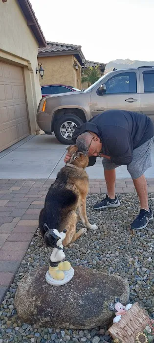 Lovet Pet Health Care - Verrado 3