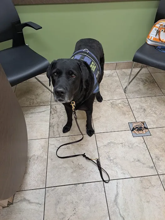 Lovet Pet Health Care - Verrado 1