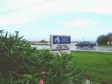 Atlantic Animal Hospital – Ormond Beach 7