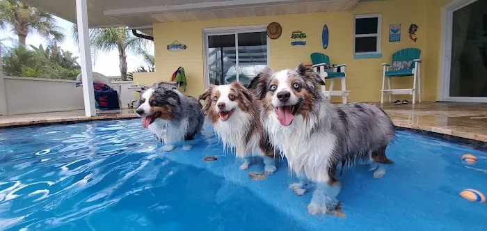 Atlantic Animal Hospital – Ormond Beach 1