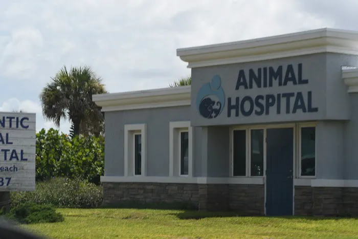Atlantic Animal Hospital – Ormond Beach 10