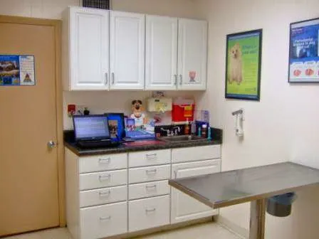Atlantic Animal Hospital – Ormond Beach 2