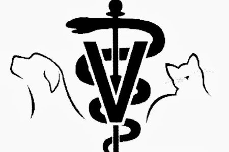 Pet Vet Vaccination Services