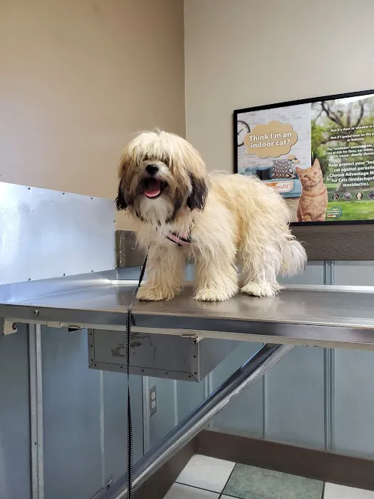 Saunders Veterinary Services 9