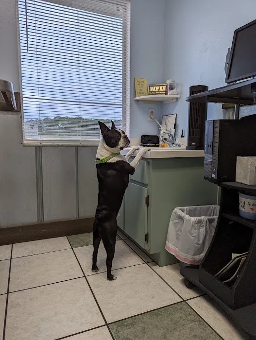 Saunders Veterinary Services 5