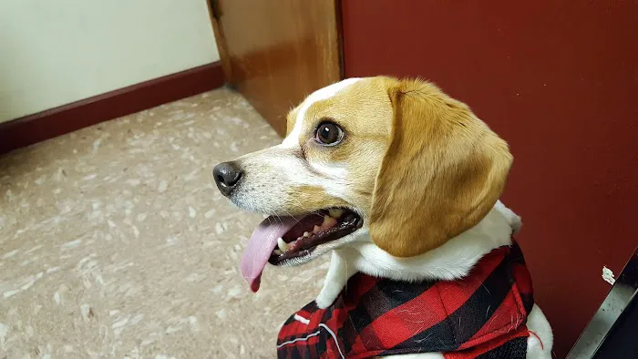 Lake Forest Veterinary Clinic 12