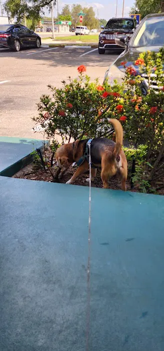 Lake Forest Veterinary Clinic 12