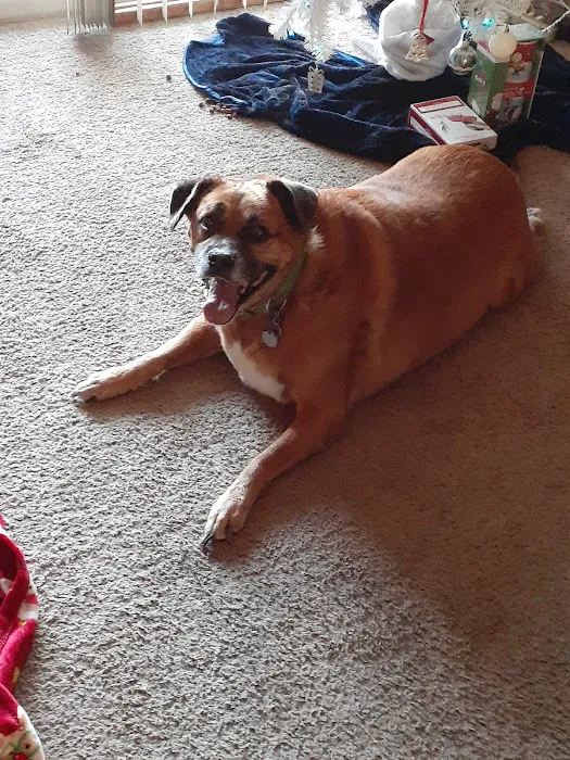 Highlands Animal Hospital 9