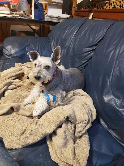 Highlands Animal Hospital 3