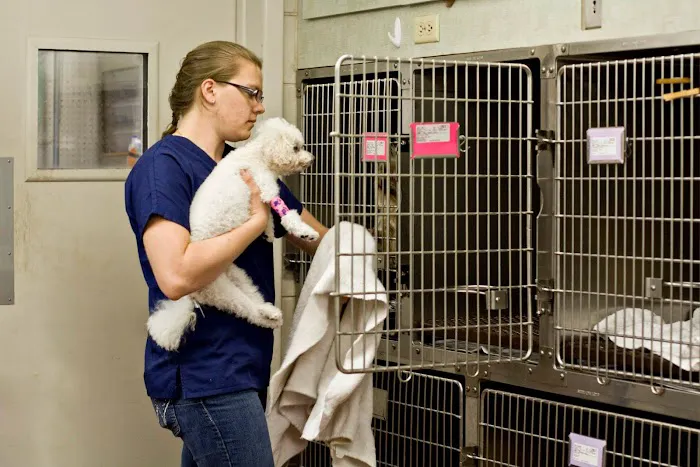 Sebring Animal Hospital 6
