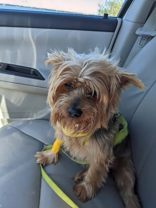 Sebring Animal Hospital 3