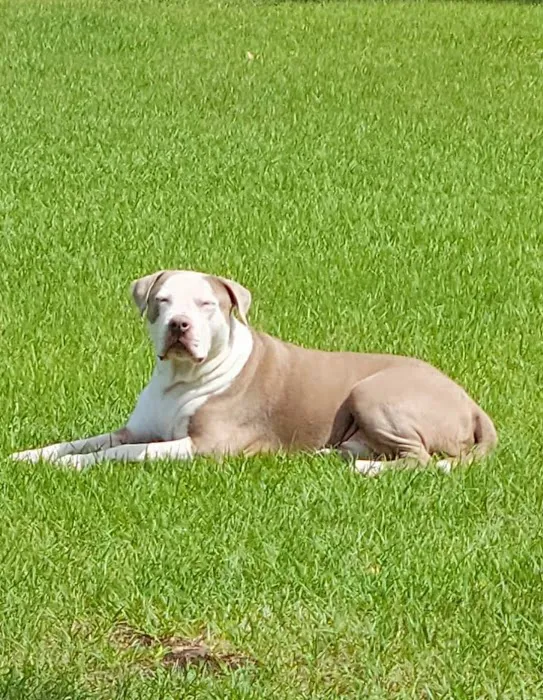 Sebring Animal Hospital 5