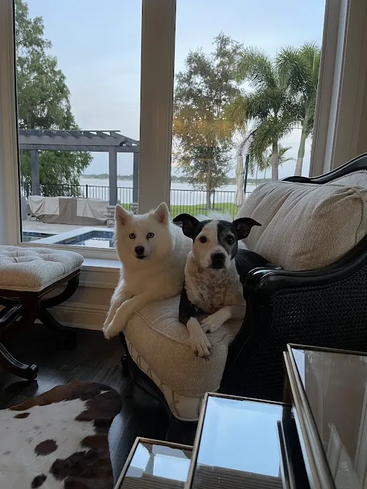Sebring Animal Hospital 1