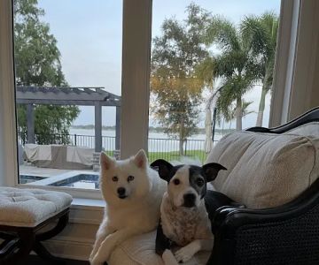 Sebring Animal Hospital